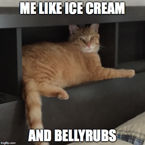 ME LIKE ICE CREAM AND BELLYRUBS | image tagged in duncan macdougall | made w/ Imgflip meme maker