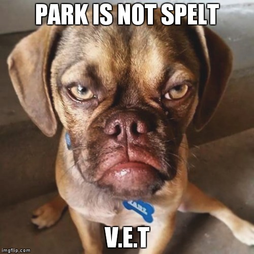 Grumpy puppy | PARK IS NOT SPELT V.E.T | image tagged in puppies,sad dog,grumpy dog | made w/ Imgflip meme maker