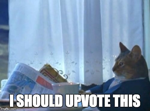 I Should Buy A Boat Cat Meme | I SHOULD UPVOTE THIS | image tagged in memes,i should buy a boat cat | made w/ Imgflip meme maker