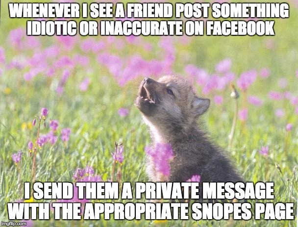Baby Insanity Wolf | WHENEVER I SEE A FRIEND POST SOMETHING IDIOTIC OR INACCURATE ON FACEBOOK I SEND THEM A PRIVATE MESSAGE WITH THE APPROPRIATE SNOPES PAGE | image tagged in memes,baby insanity wolf | made w/ Imgflip meme maker