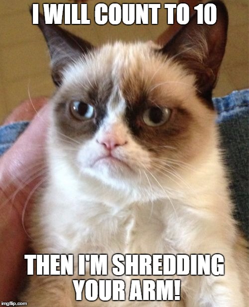 Grumpy Cat | I WILL COUNT TO 10 THEN I'M SHREDDING YOUR ARM! | image tagged in memes,grumpy cat | made w/ Imgflip meme maker