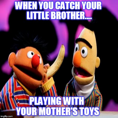 Mother's Toys | WHEN YOU CATCH YOUR LITTLE BROTHER.... PLAYING WITH YOUR MOTHER'S TOYS | image tagged in memes,sesame street,dildo | made w/ Imgflip meme maker