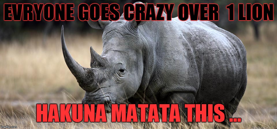 rhino | EVRYONE GOES CRAZY OVER  1 LION HAKUNA MATATA THIS ... | image tagged in cecil the lion,the most interesting man in the world,sexually oblivious rhino | made w/ Imgflip meme maker