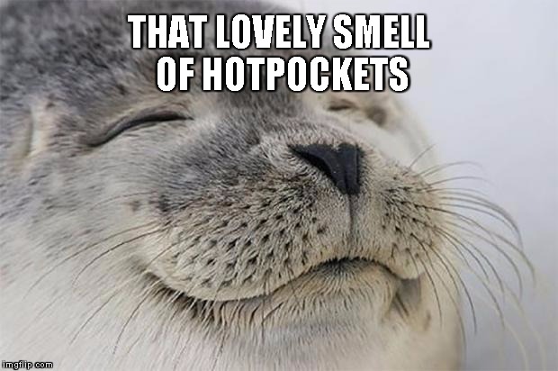 Satisfied Seal | THAT LOVELY SMELL OF HOTPOCKETS | image tagged in memes,satisfied seal | made w/ Imgflip meme maker
