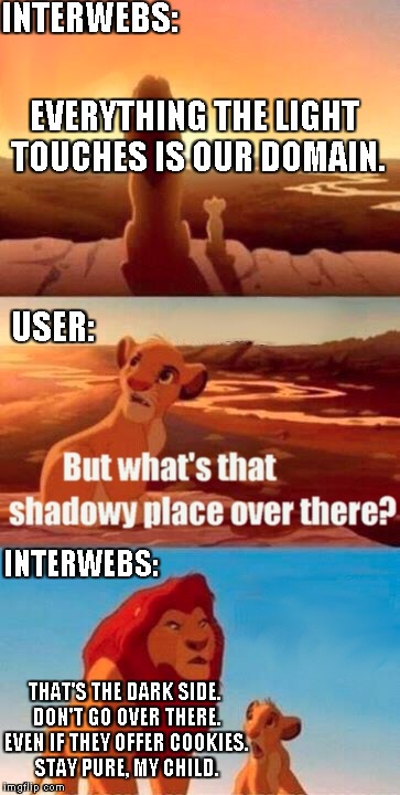 Simba Shadowy Place Meme | EVERYTHING THE LIGHT TOUCHES IS OUR DOMAIN. THAT'S THE DARK SIDE. DON'T GO OVER THERE. EVEN IF THEY OFFER COOKIES. STAY PURE, MY CHILD. USER | image tagged in memes,simba shadowy place | made w/ Imgflip meme maker