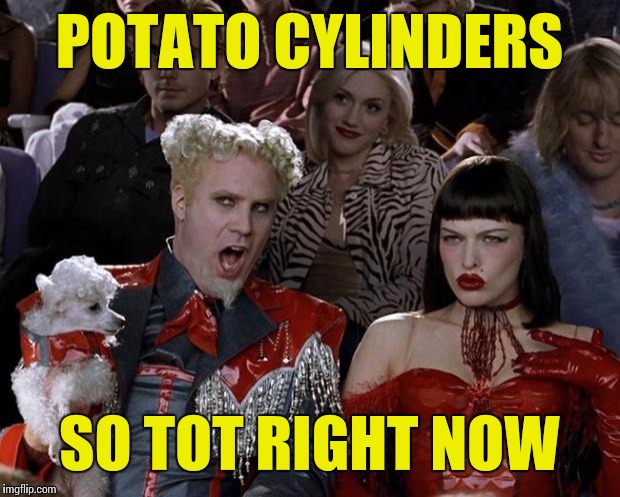 Better Than Fries | POTATO CYLINDERS SO TOT RIGHT NOW | image tagged in memes,mugatu so hot right now,potato,fries | made w/ Imgflip meme maker