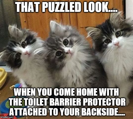 THAT PUZZLED LOOK.... WHEN YOU COME HOME WITH THE TOILET BARRIER PROTECTOR ATTACHED TO YOUR BACKSIDE.... | image tagged in puzzled | made w/ Imgflip meme maker
