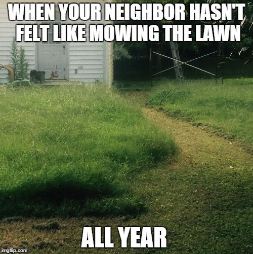Bad Neighbor | WHEN YOUR NEIGHBOR HASN'T FELT LIKE MOWING THE LAWN ALL YEAR | image tagged in lazy neighbor | made w/ Imgflip meme maker