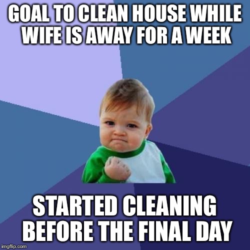 Success Kid | GOAL TO CLEAN HOUSE WHILE WIFE IS AWAY FOR A WEEK STARTED CLEANING BEFORE THE FINAL DAY | image tagged in memes,success kid,AdviceAnimals | made w/ Imgflip meme maker