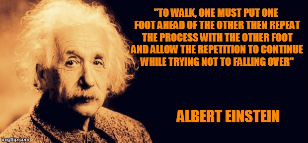 Einstein's Wish | "TO WALK, ONE MUST PUT ONE FOOT AHEAD OF THE OTHER THEN REPEAT THE PROCESS WITH THE OTHER FOOT AND ALLOW THE REPETITION TO CONTINUE WHILE TR | image tagged in einstein's wish | made w/ Imgflip meme maker
