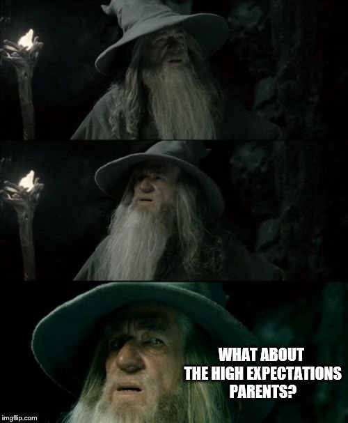 Confused Gandalf Meme | WHAT ABOUT THE HIGH EXPECTATIONS PARENTS? | image tagged in memes,confused gandalf | made w/ Imgflip meme maker
