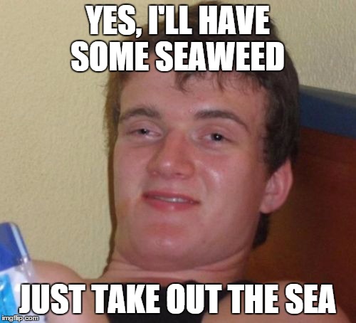 10 Guy | YES, I'LL HAVE SOME SEAWEED JUST TAKE OUT THE SEA | image tagged in memes,10 guy | made w/ Imgflip meme maker