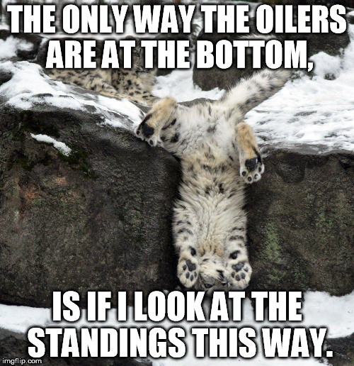 THE ONLY WAY THE OILERS ARE AT THE BOTTOM, IS IF I LOOK AT THE STANDINGS THIS WAY. | image tagged in snow snow,nhl | made w/ Imgflip meme maker