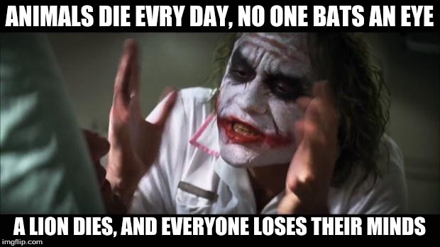 And everybody loses their minds Meme | ANIMALS DIE EVRY DAY, NO ONE BATS AN EYE A LION DIES, AND EVERYONE LOSES THEIR MINDS | image tagged in memes,and everybody loses their minds | made w/ Imgflip meme maker