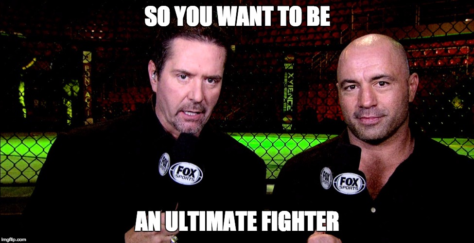 SO YOU WANT TO BE AN ULTIMATE FIGHTER | made w/ Imgflip meme maker