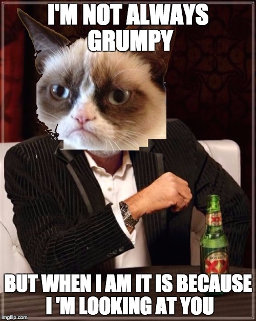 I'M NOT ALWAYS GRUMPY BUT WHEN I AM IT IS BECAUSE I 'M LOOKING AT YOU | image tagged in im grumps,the most interesting man in the world,grumpy cat | made w/ Imgflip meme maker
