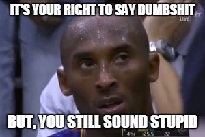 Questionable Strategy Kobe | IT'S YOUR RIGHT TO SAY DUMBSHIT BUT, YOU STILL SOUND STUPID | image tagged in memes,questionable strategy kobe | made w/ Imgflip meme maker