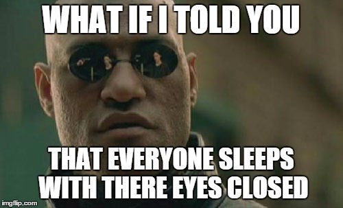 Matrix Morpheus Meme | WHAT IF I TOLD YOU THAT EVERYONE SLEEPS WITH THERE EYES CLOSED | image tagged in memes,matrix morpheus | made w/ Imgflip meme maker
