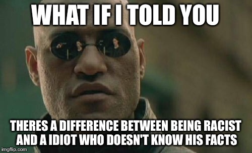 Matrix Morpheus | WHAT IF I TOLD YOU THERES A DIFFERENCE BETWEEN BEING RACIST AND A IDIOT WHO DOESN'T KNOW HIS FACTS | image tagged in memes,matrix morpheus,racism,stupid people | made w/ Imgflip meme maker