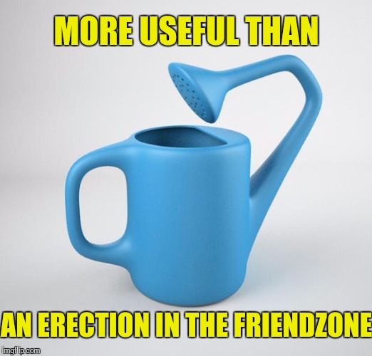 Useless Equipment | MORE USEFUL THAN AN ERECTION IN THE FRIENDZONE | image tagged in useless stuff,friendzone,memes | made w/ Imgflip meme maker