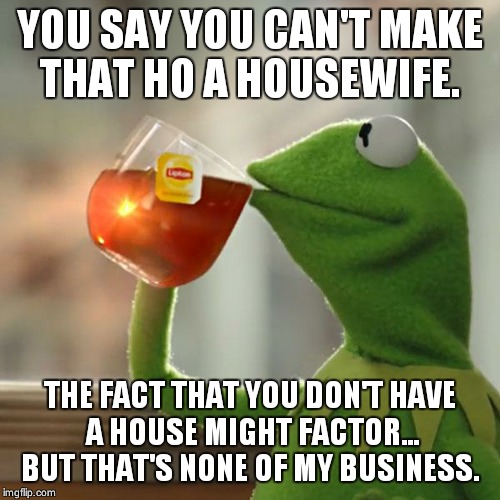 But That's None Of My Business Meme | YOU SAY YOU CAN'T MAKE THAT HO A HOUSEWIFE. THE FACT THAT YOU DON'T HAVE A HOUSE MIGHT FACTOR... BUT THAT'S NONE OF MY BUSINESS. | image tagged in memes,but thats none of my business,kermit the frog | made w/ Imgflip meme maker