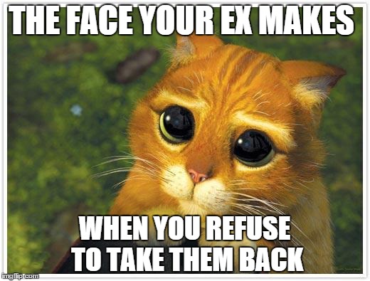 Shrek Cat | THE FACE YOUR EX MAKES WHEN YOU REFUSE TO TAKE THEM BACK | image tagged in memes,shrek cat | made w/ Imgflip meme maker