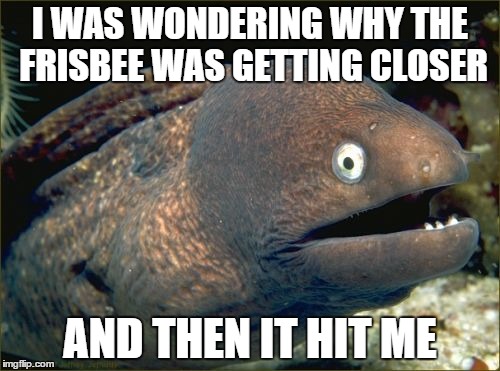 Bad Joke Eel Meme | I WAS WONDERING WHY THE FRISBEE WAS GETTING CLOSER AND THEN IT HIT ME | image tagged in memes,bad joke eel | made w/ Imgflip meme maker