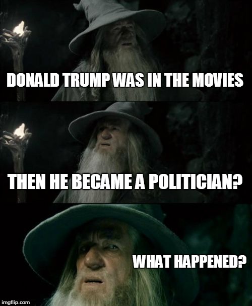 Confused Gandalf | DONALD TRUMP WAS IN THE MOVIES THEN HE BECAME A POLITICIAN? WHAT HAPPENED? | image tagged in memes,confused gandalf | made w/ Imgflip meme maker