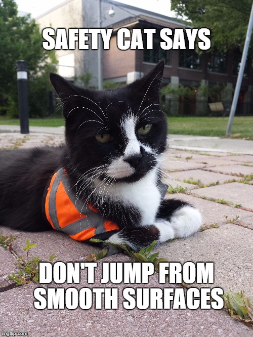 SAFETY CAT SAYS DON'T JUMP FROM SMOOTH SURFACES | image tagged in safety cat | made w/ Imgflip meme maker