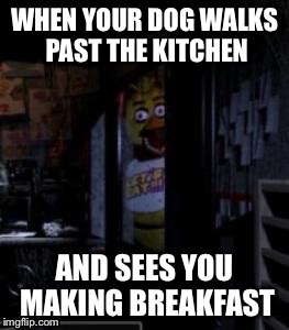 My Mornings | WHEN YOUR DOG WALKS PAST THE KITCHEN AND SEES YOU MAKING BREAKFAST | image tagged in chica at the door | made w/ Imgflip meme maker