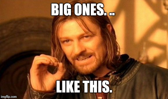 One Does Not Simply Meme | BIG ONES. .. LIKE THIS. | image tagged in memes,one does not simply | made w/ Imgflip meme maker