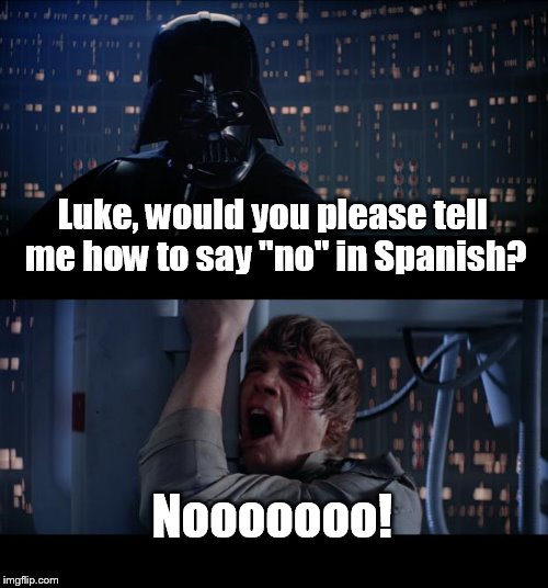 Wait, are you telling me, or..? | Luke, would you please tell me how to say "no" in Spanish? Nooooooo! | image tagged in memes,star wars no | made w/ Imgflip meme maker