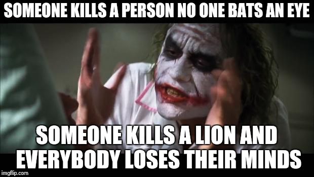 And everybody loses their minds | SOMEONE KILLS A PERSON NO ONE BATS AN EYE SOMEONE KILLS A LION AND EVERYBODY LOSES THEIR MINDS | image tagged in memes,and everybody loses their minds | made w/ Imgflip meme maker