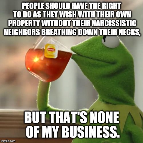 But That's None Of My Business Meme | PEOPLE SHOULD HAVE THE RIGHT TO DO AS THEY WISH WITH THEIR OWN PROPERTY WITHOUT THEIR NARCISSISTIC NEIGHBORS BREATHING DOWN THEIR NECKS, BUT | image tagged in memes,but thats none of my business,kermit the frog | made w/ Imgflip meme maker