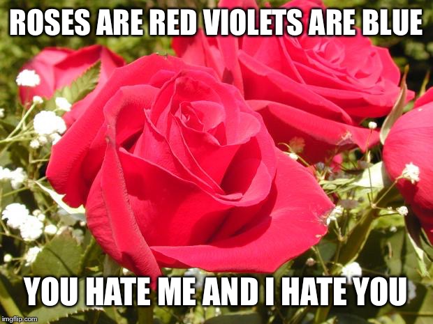 Roses | ROSES ARE RED VIOLETS ARE BLUE YOU HATE ME AND I HATE YOU | image tagged in roses | made w/ Imgflip meme maker