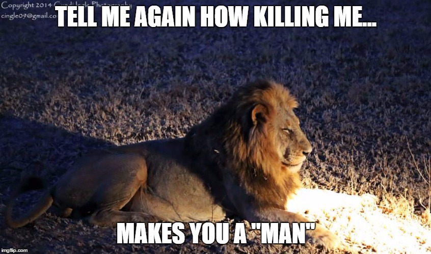 TELL ME AGAIN HOW KILLING ME... MAKES YOU A "MAN" | image tagged in boy lion | made w/ Imgflip meme maker
