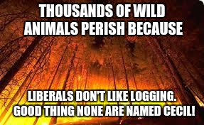 Forest fire | THOUSANDS OF WILD ANIMALS PERISH BECAUSE LIBERALS DON'T LIKE LOGGING.  GOOD THING NONE ARE NAMED CECIL! | image tagged in forest fire | made w/ Imgflip meme maker