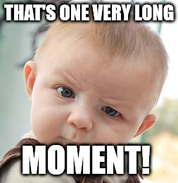 Skeptical Baby Meme | THAT'S ONE VERY LONG MOMENT! | image tagged in memes,skeptical baby | made w/ Imgflip meme maker