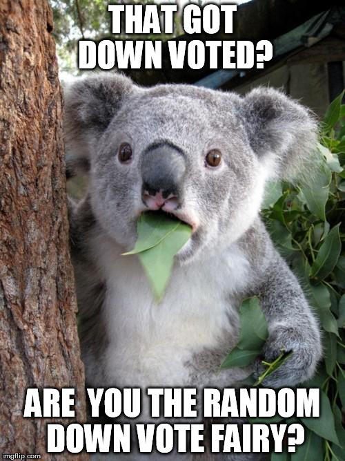 Surprised Koala Meme | THAT GOT DOWN VOTED? ARE  YOU THE RANDOM DOWN VOTE FAIRY? | image tagged in memes,surprised koala | made w/ Imgflip meme maker