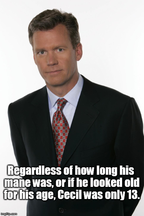Too soon? | Regardless of how long his mane was, or if he looked old for his age, Cecil was only 13. | image tagged in chris hansen | made w/ Imgflip meme maker
