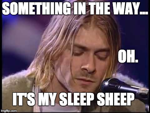Kurt Cobain Naptime Sleep Sheep  | SOMETHING IN THE WAY... OH. IT'S MY SLEEP SHEEP | image tagged in kurt cobain naptime sleep sheep | made w/ Imgflip meme maker