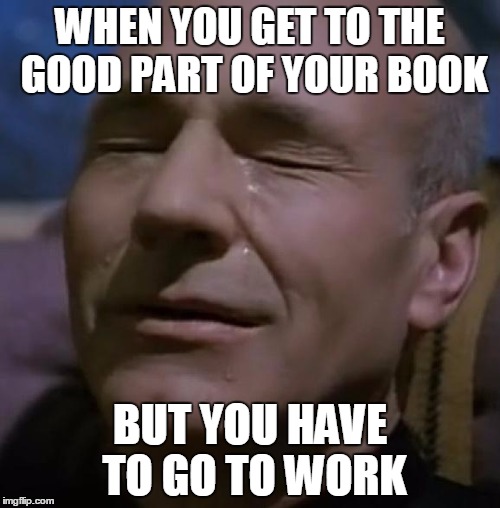 sadpicard | WHEN YOU GET TO THE GOOD PART OF YOUR BOOK BUT YOU HAVE TO GO TO WORK | image tagged in sadpicard | made w/ Imgflip meme maker