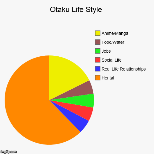 Otaku Lifestyle | image tagged in funny,pie charts,otaku,funny memes,memes,original meme | made w/ Imgflip chart maker
