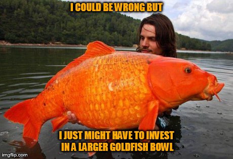 image tagged in funny,fish | made w/ Imgflip meme maker