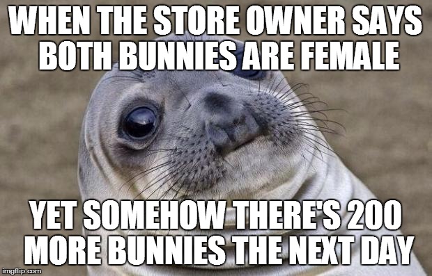 Awkward Moment Sealion Meme | WHEN THE STORE OWNER SAYS BOTH BUNNIES ARE FEMALE YET SOMEHOW THERE'S 200 MORE BUNNIES THE NEXT DAY | image tagged in memes,awkward moment sealion | made w/ Imgflip meme maker