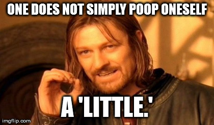 One Does Not Simply Meme | ONE DOES NOT SIMPLY POOP ONESELF A 'LITTLE.' | image tagged in memes,one does not simply | made w/ Imgflip meme maker