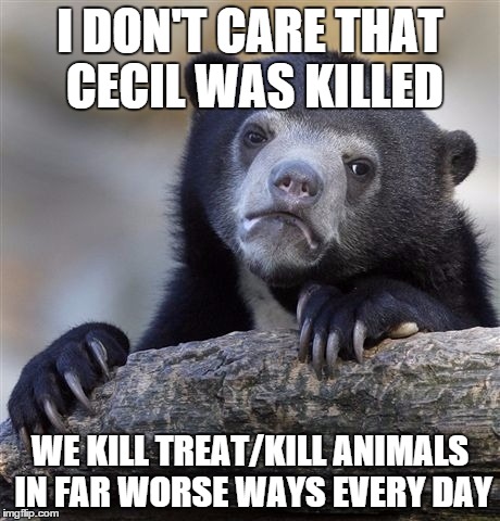 Confession Bear | I DON'T CARE THAT CECIL WAS KILLED WE KILL TREAT/KILL ANIMALS IN FAR WORSE WAYS EVERY DAY | image tagged in memes,confession bear | made w/ Imgflip meme maker