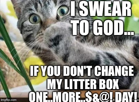 And You Wonder WHY They Pee In Your Closet...(rare Cat Meme) | I SWEAR TO GOD... IF YOU DON'T CHANGE MY LITTER BOX ONE..MORE..$&@! DAY! | image tagged in cat punch,cats,lmao,pets,animals,memes | made w/ Imgflip meme maker
