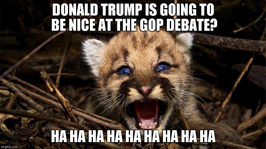 Fat Cat | DONALD TRUMP IS GOING TO BE NICE AT THE GOP DEBATE? HA HA HA HA HA HA HA HA HA | image tagged in donald trump,politics | made w/ Imgflip meme maker