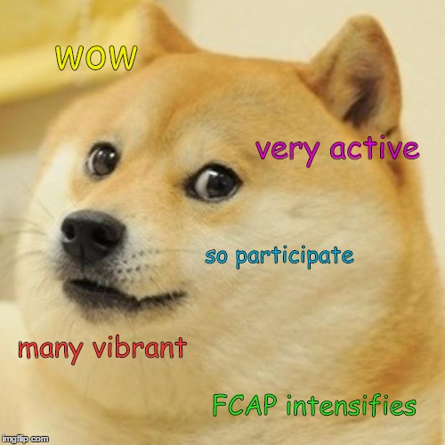 Doge Meme | wow very active so participate many vibrant FCAP intensifies | image tagged in memes,doge | made w/ Imgflip meme maker